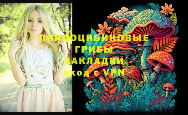 хмурый Новодвинск